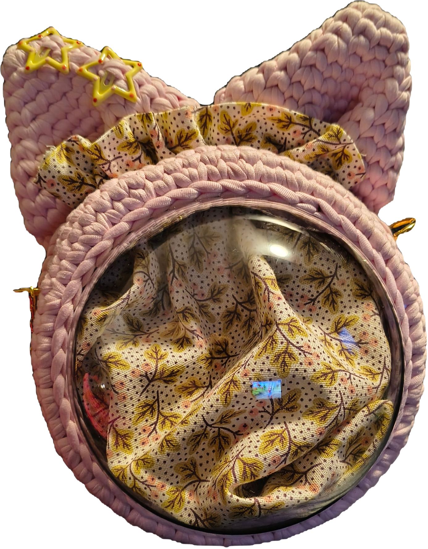 Spring Whiskers 🌿😻